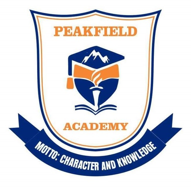 peakfieldacademy.com.ng